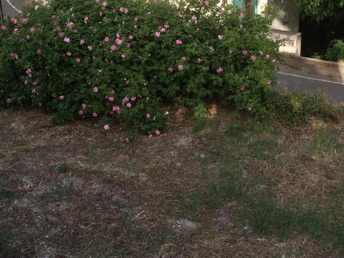 Pera Pedi Ayios Nicolaos River Park מראה חיצוני תמונה